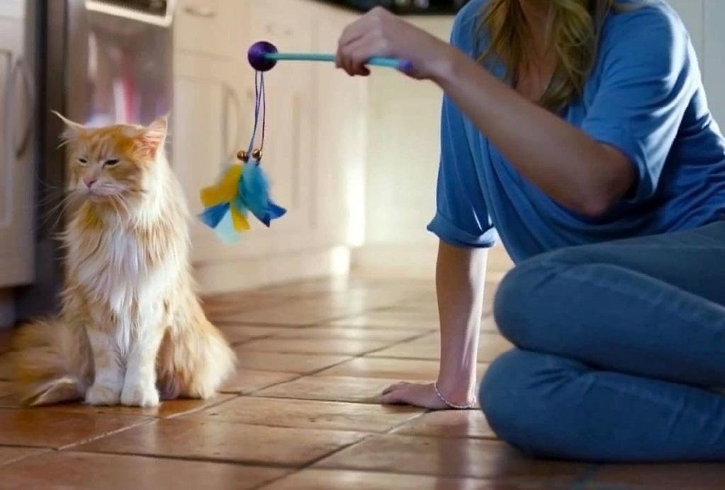 хозяйка обижается