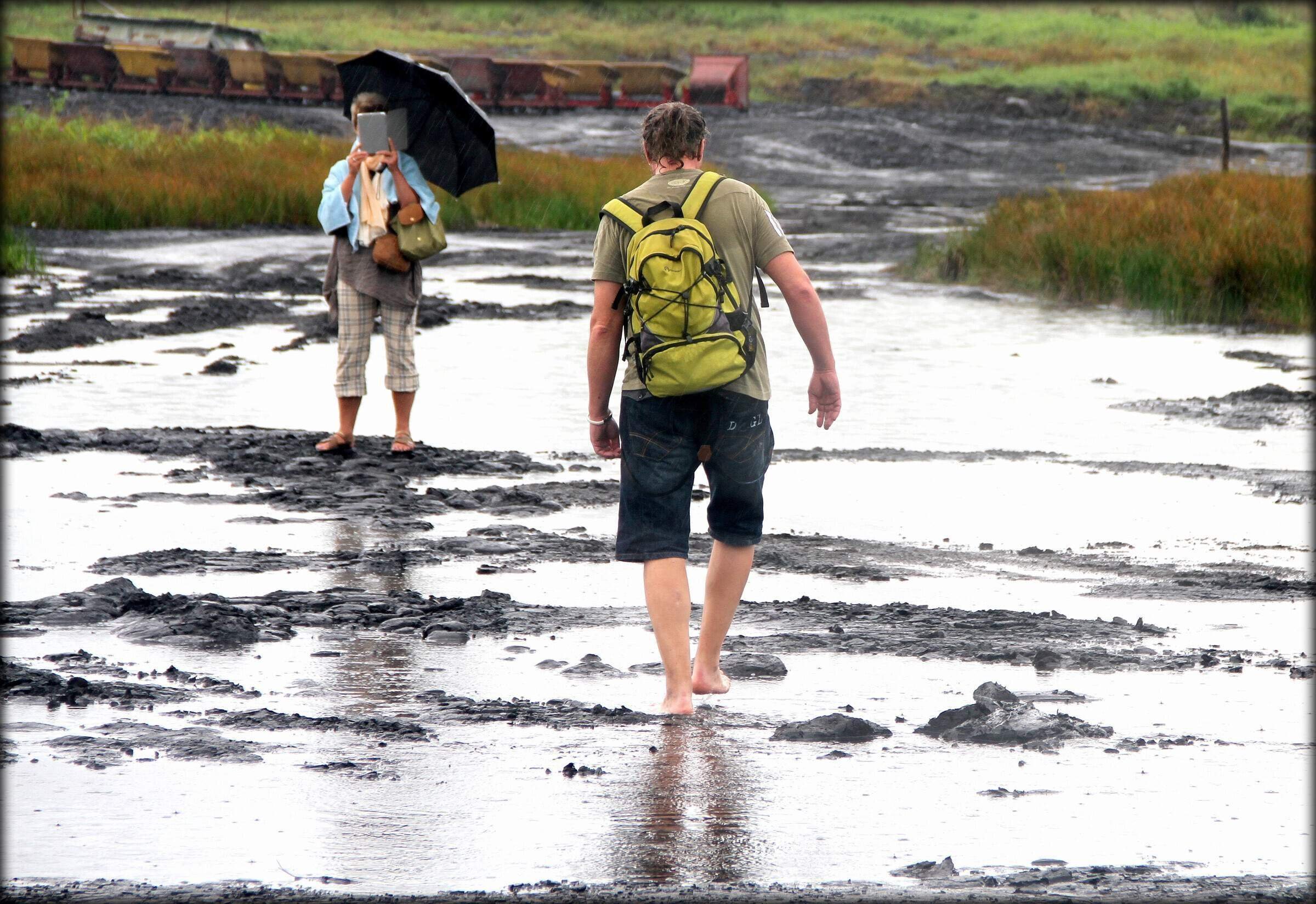 Озеро пич-лейк. Асфальтовое озеро пич-лейк. Асфальтовое озеро пич-лейк, тринидад. Асфальтовое море. Озеро пич-лейк тринидад.