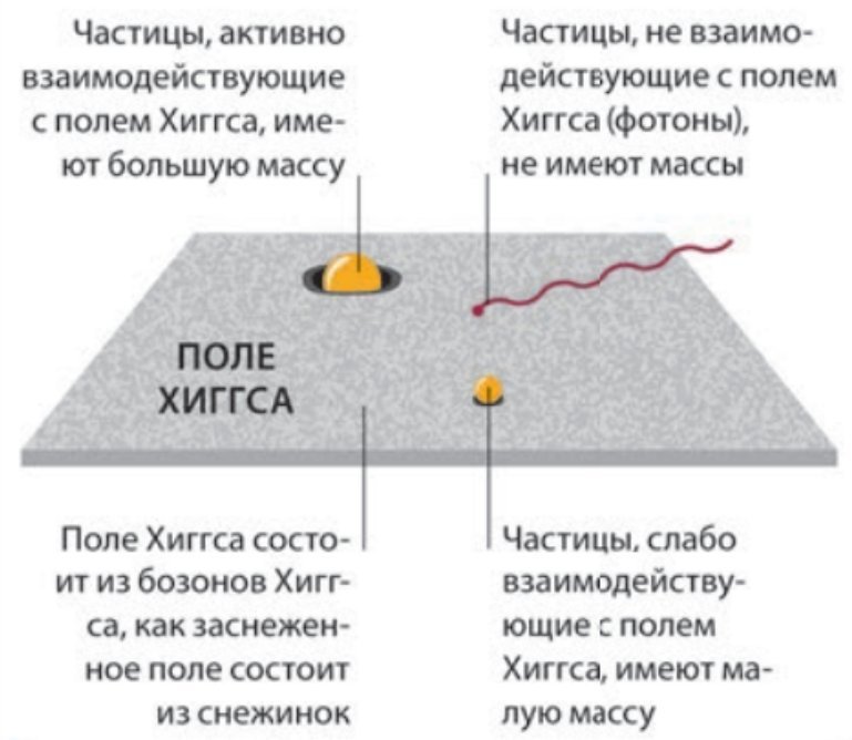 Хиггс питер презентация