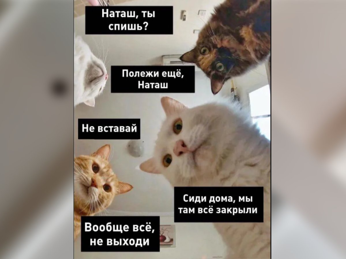 Наташа вставай мы все уронили