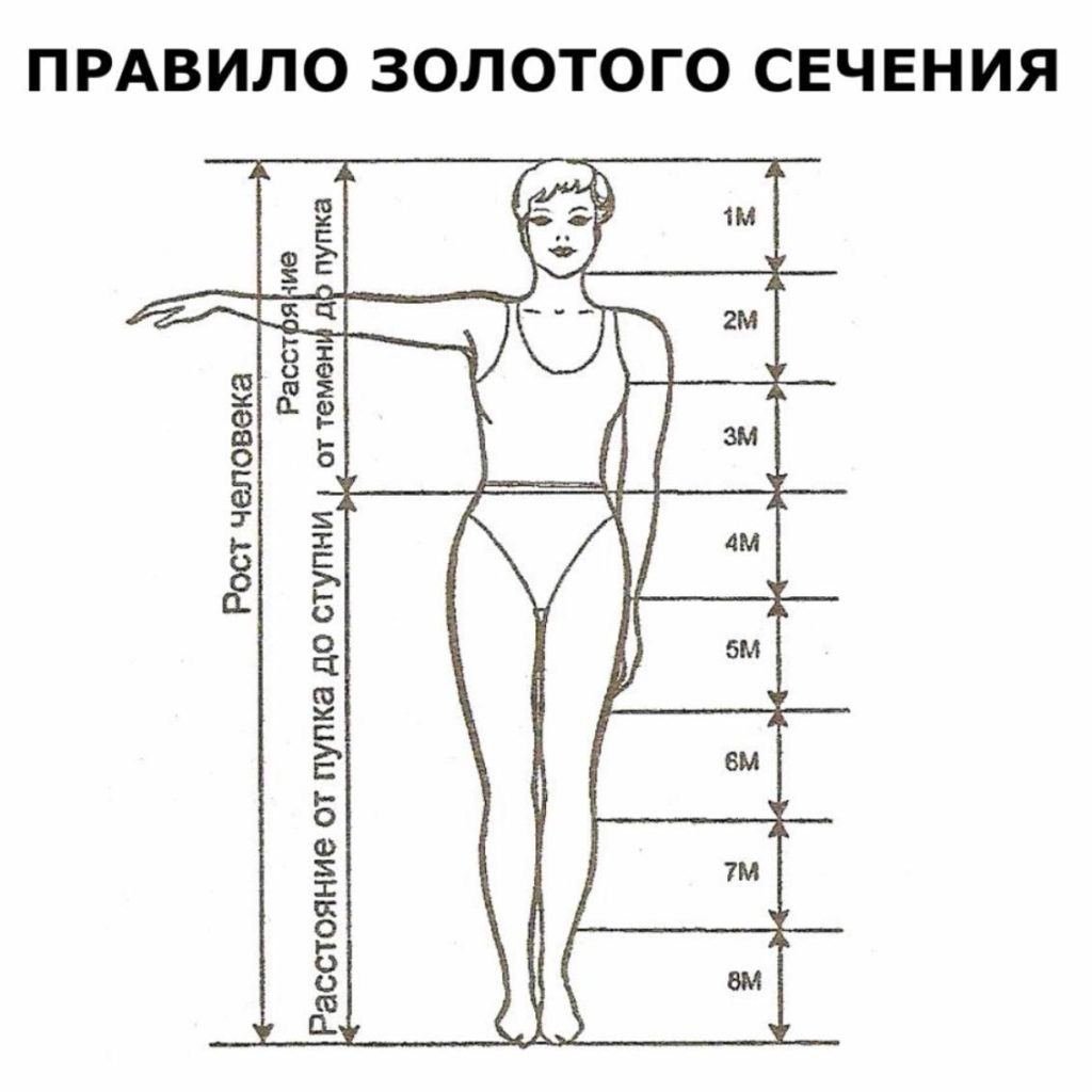 Рост головы. Идеальные пропорции женского тела золотое сечение. Золотое сечение пропорция тела женщины. Золотое сечение человека пропорции. Пропорции фигуры женщины.