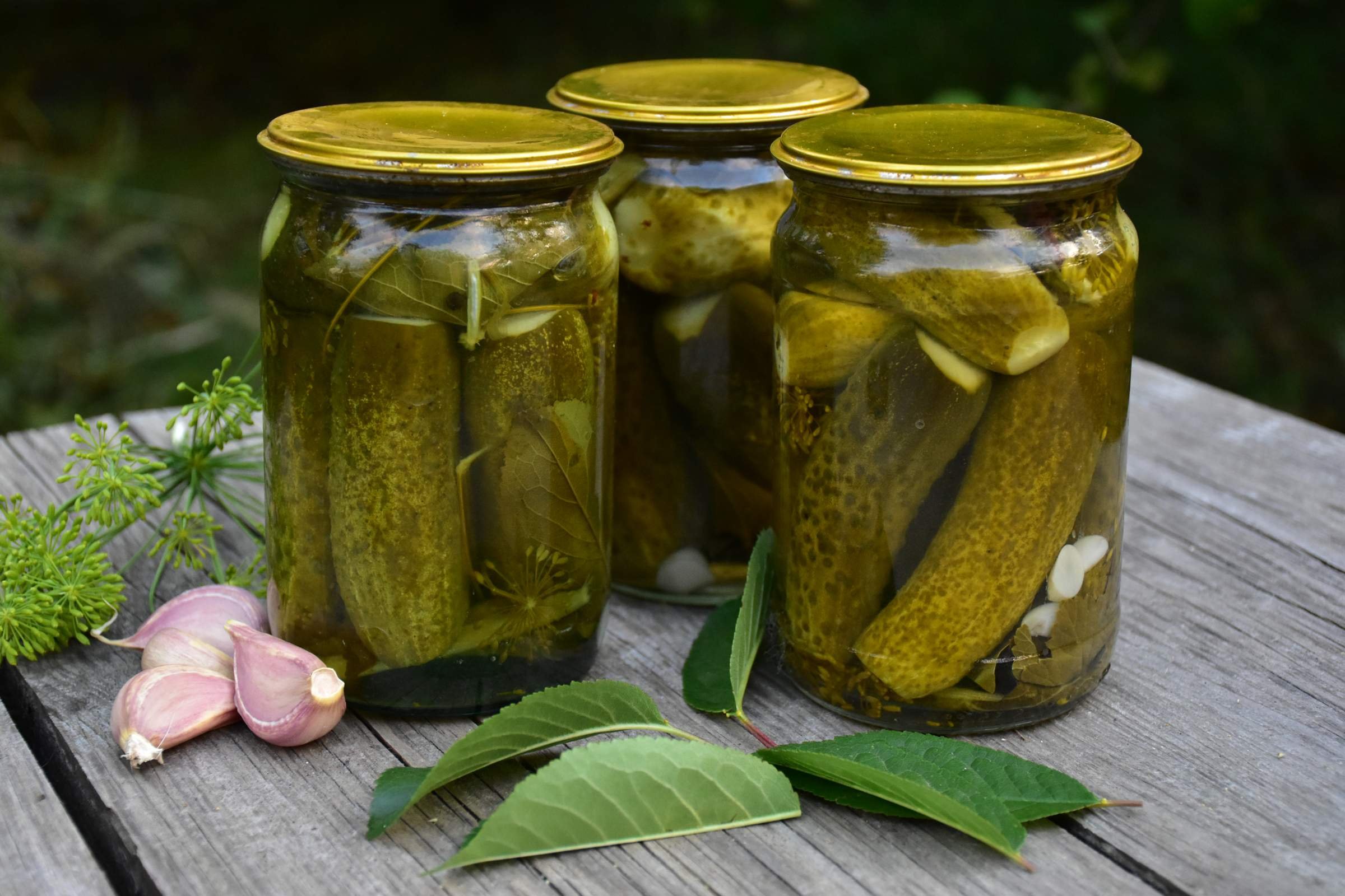 Банки с огурцами. Мутные банки с огурцами. Банка из под огурцов. Взорванная банка с огурцами. Взорванная банка с солениями.