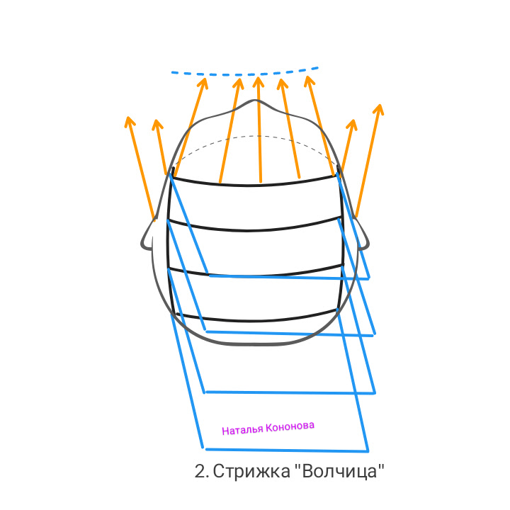 Стрижка волчица схема