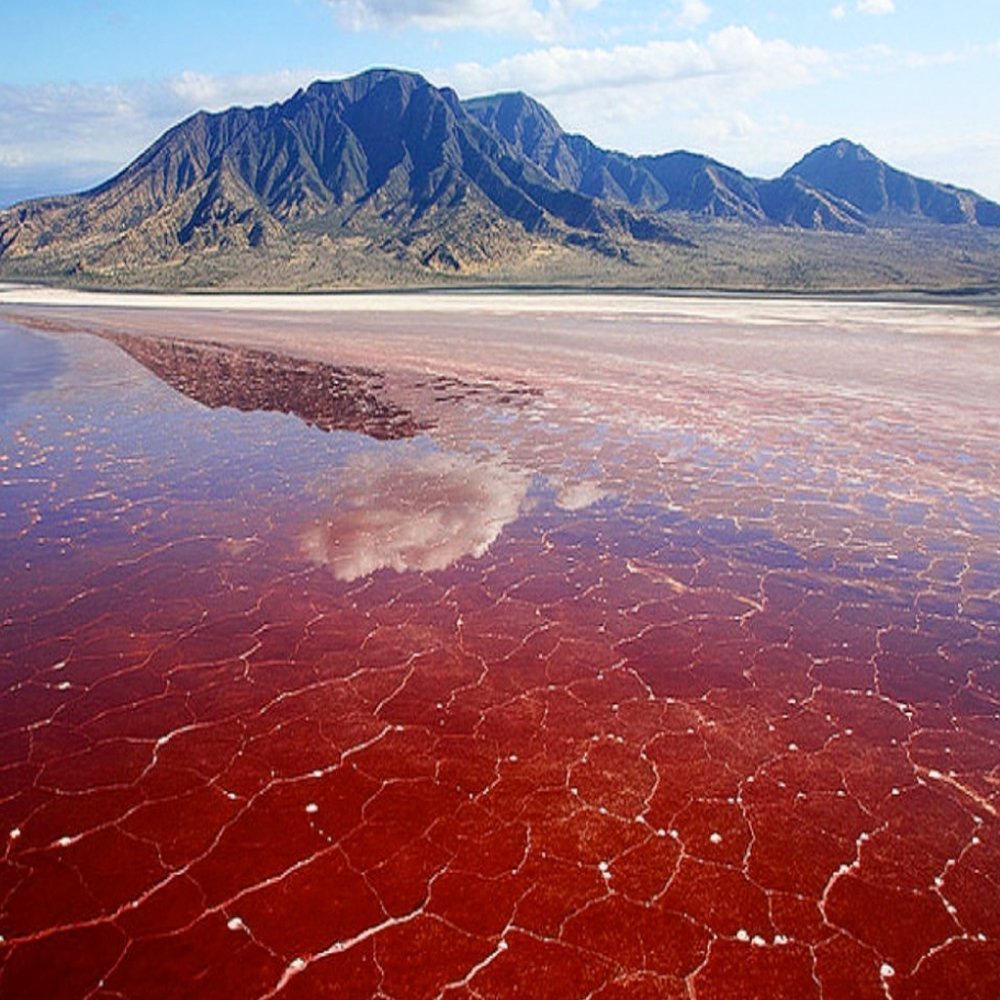 Красные озера где. Озеро Натрон в Танзании. Озеро Мехарлу Иран.