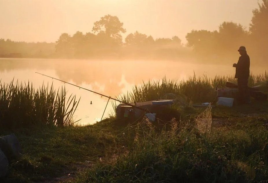 Клева мама. Рыбалка рано утром. Рыбалка летом. Утро на рыбалке. Рыбалка пейзаж.