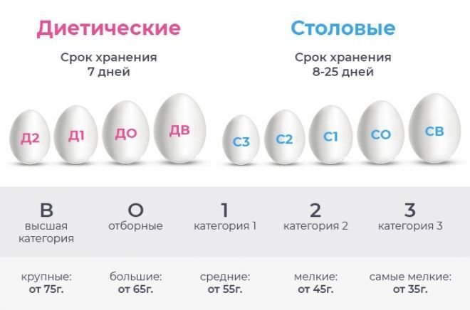 Срок хранения диетических яиц. Яйцо диетическое и столовое. Категории диетических яиц. Яйцо диетическое и столовое разница.