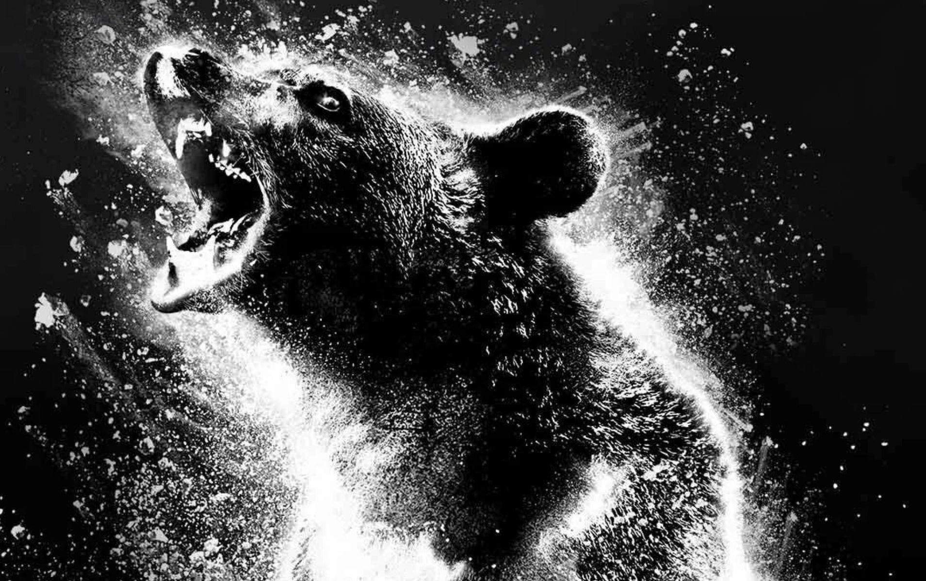 медведь съемки фильмов. я медведь трейлер 2024. я медведь трейлер 2024. я медведь трейлер 2024. элио пиксар.