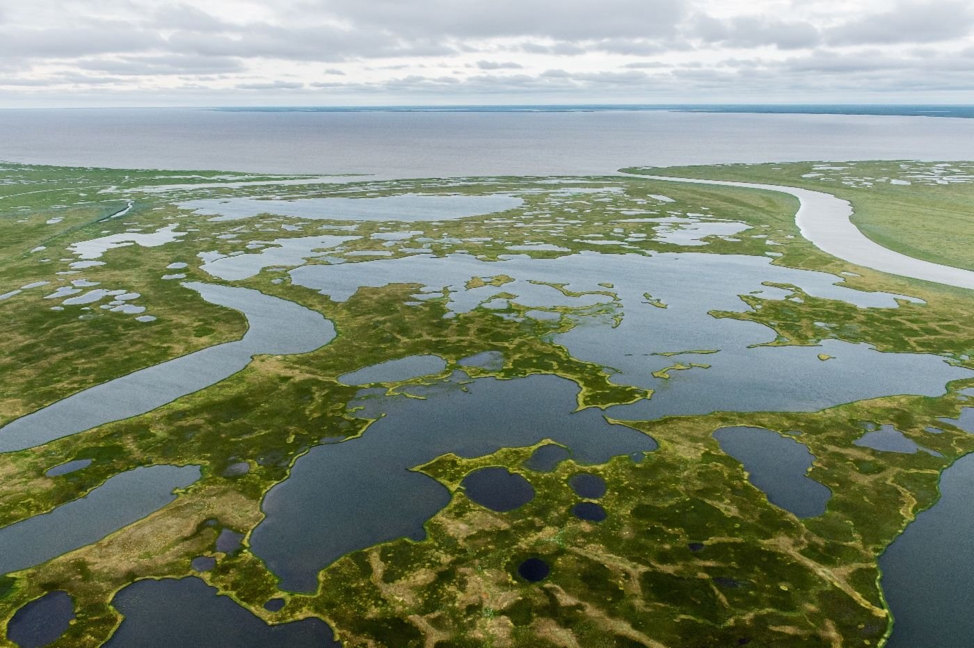 Полуостров окружен заливом карского моря обской губой. Карское море Обская губа. Река Обь Обская губа. Обская губа Ямал. Остров в Обской губе Карского моря.