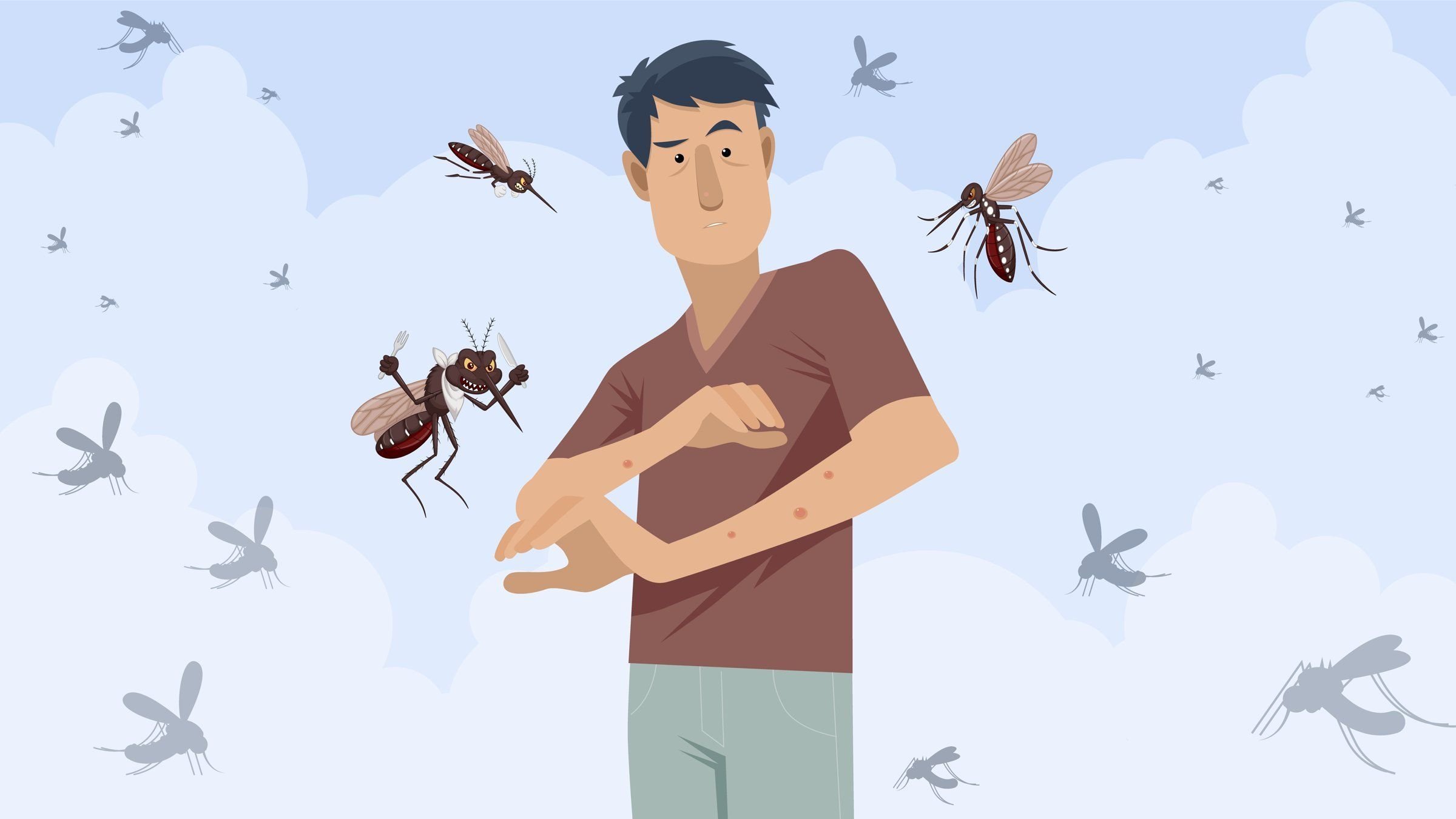Нападение комаров. Комар мужчина. Комар улетает.