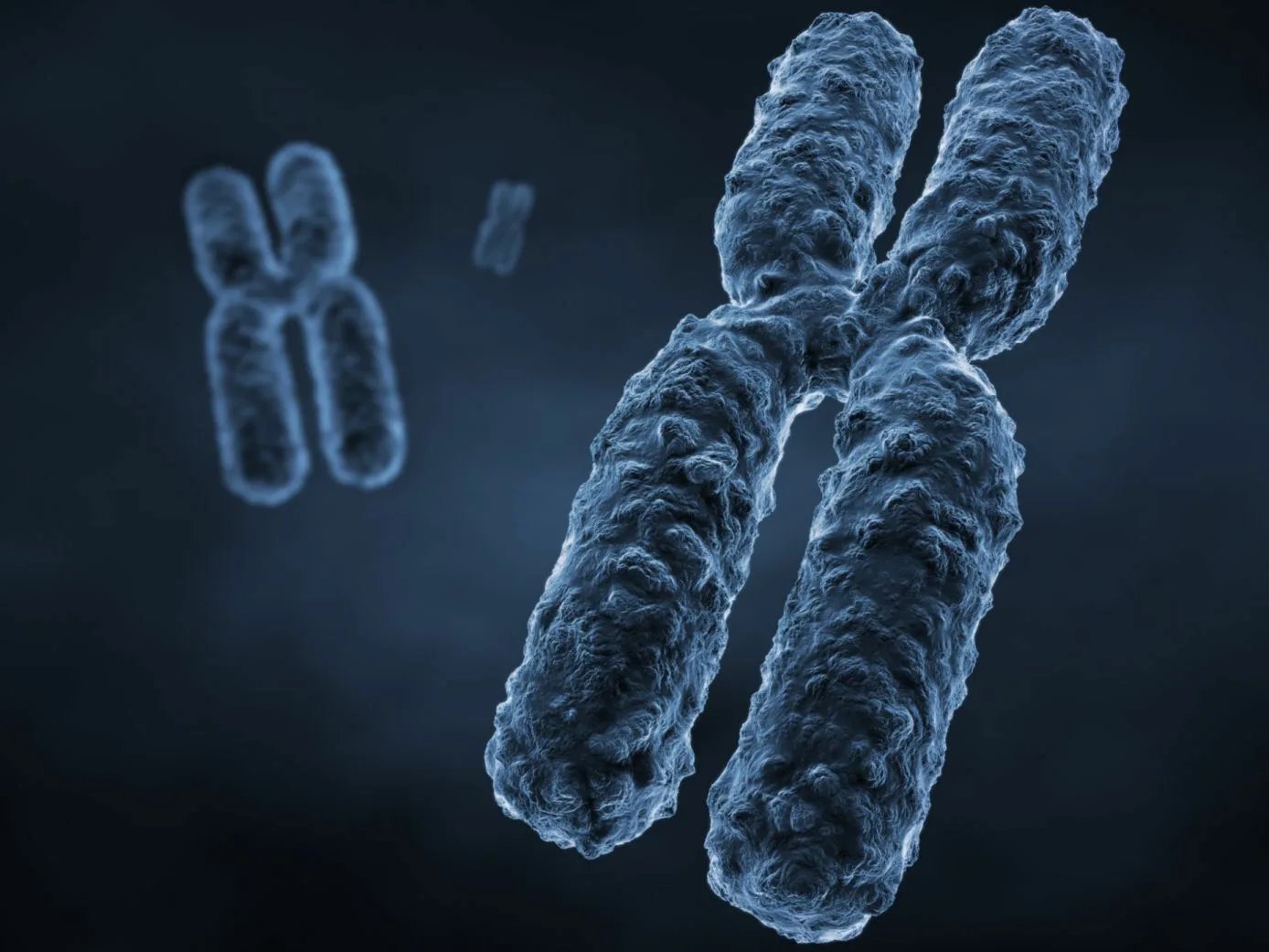 Хромосомы лучше видны. Хромосома. Хромосомы человека под микроскопом. Генетика хромосомы. Х И У хромосомы.