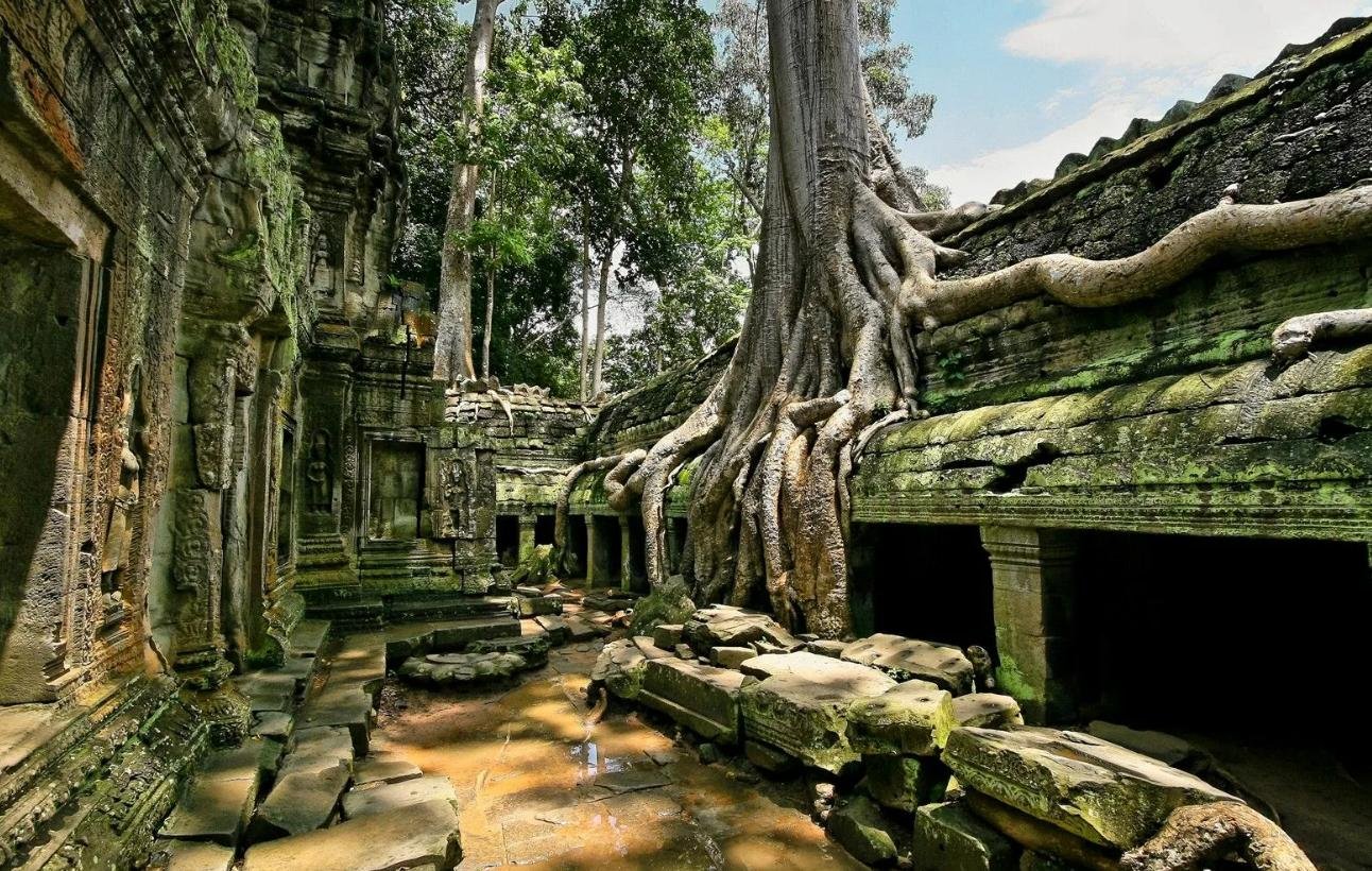 камбоджа город в джунглях