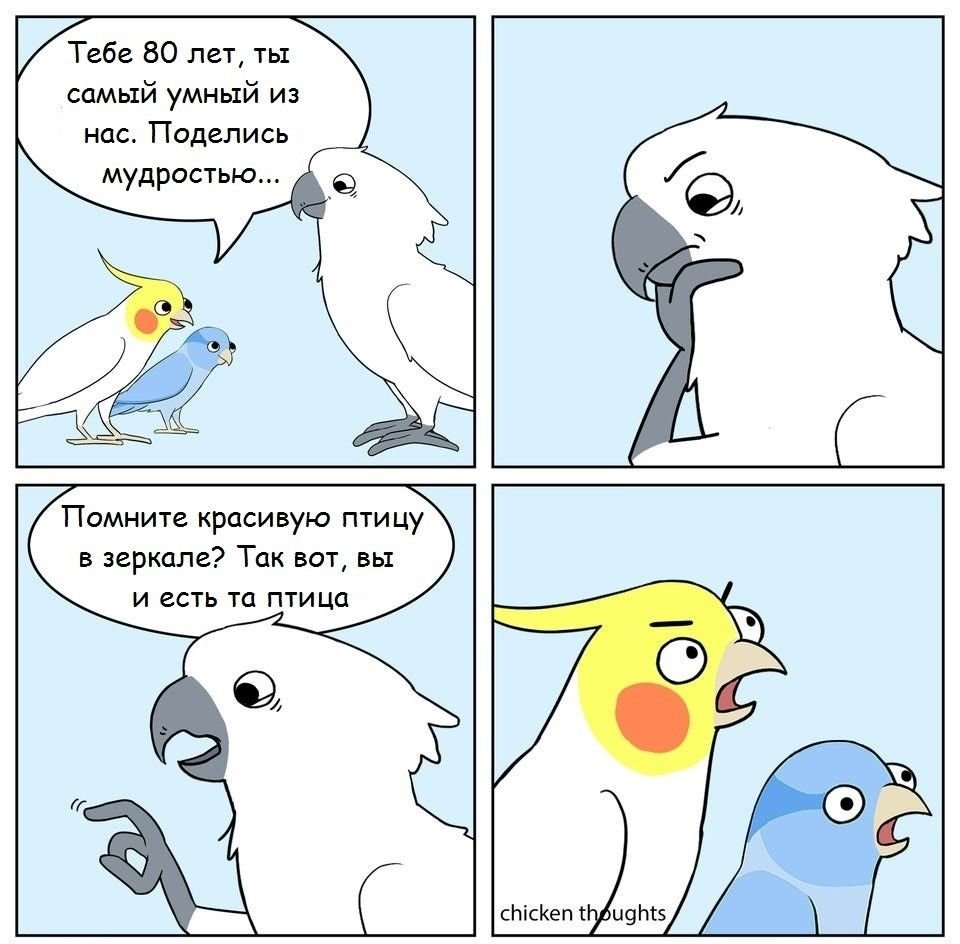 Комиксы про птиц