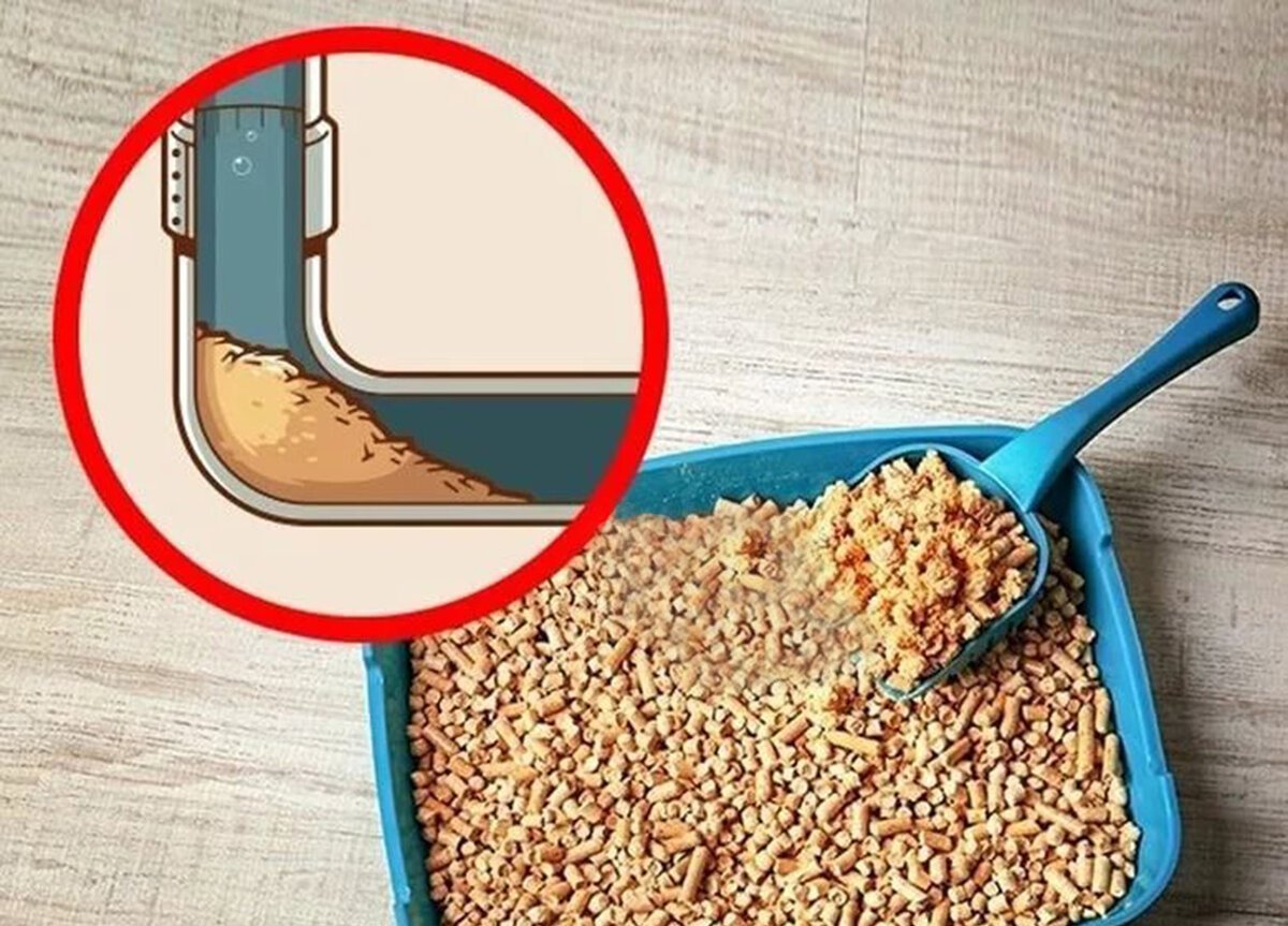 туалет-лоток для кошек с trixie berto 39х59х22 см. куда выбрасывать наполнитель. туалет для кошек berto с бортиком и сеткой, 39 х 22 х 59 см. наполнитель песочек. Canada litter лоток для кошек.