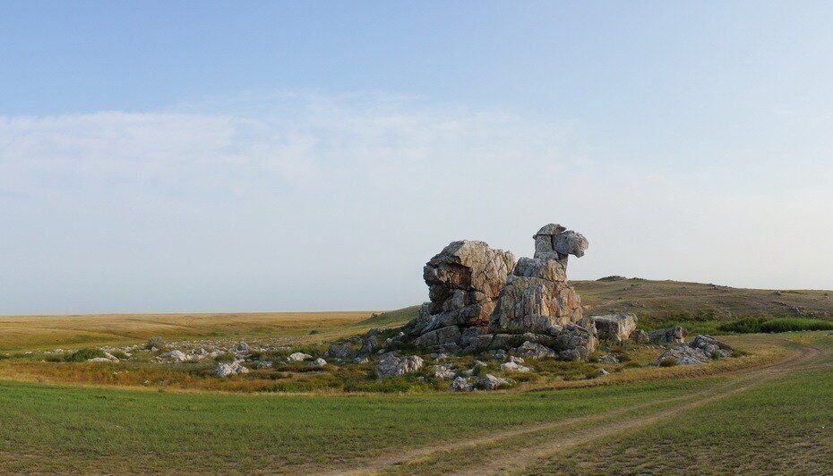 Гора верблюд Самарская лука Спутник