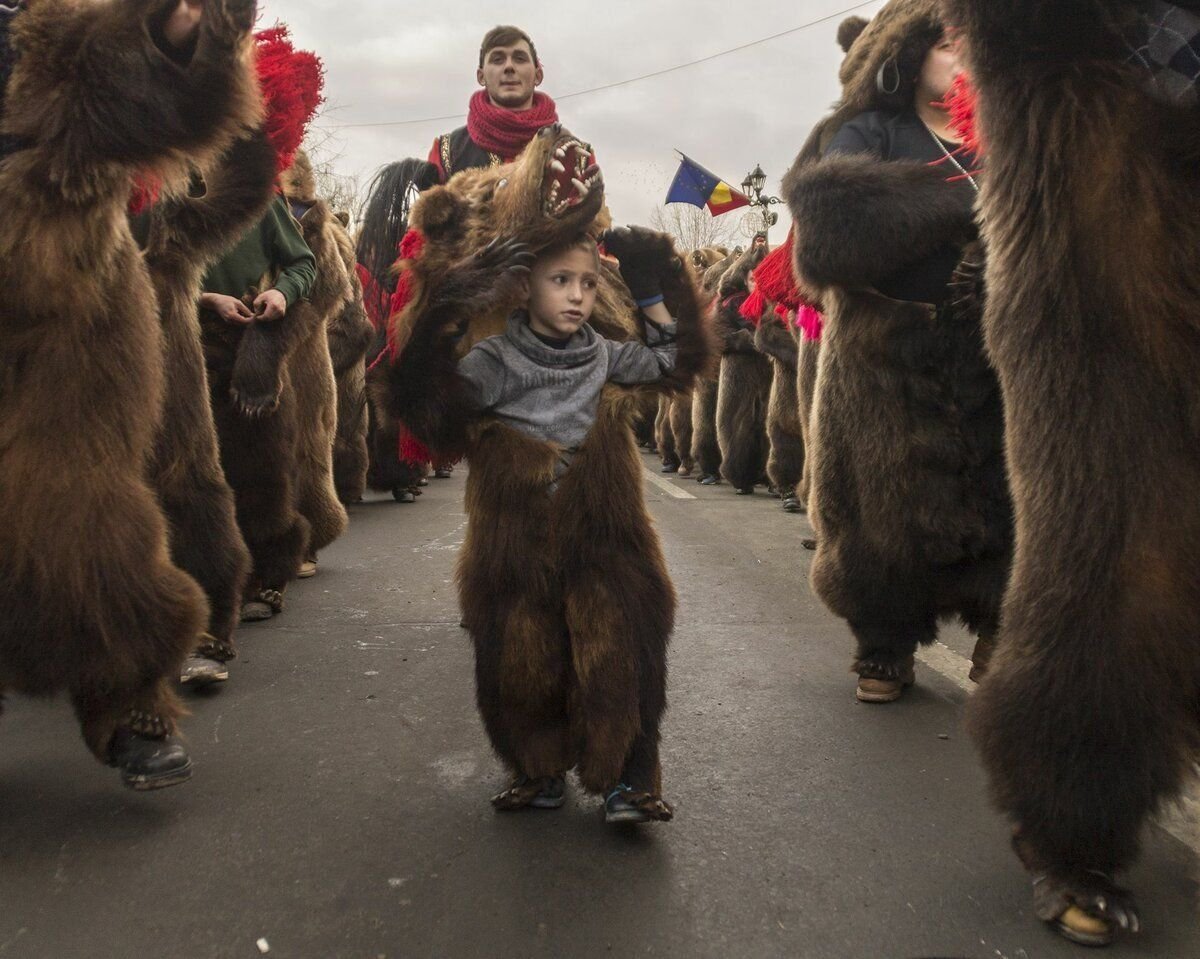 Фото года 2011. Румыния Медвежьи гуляния.