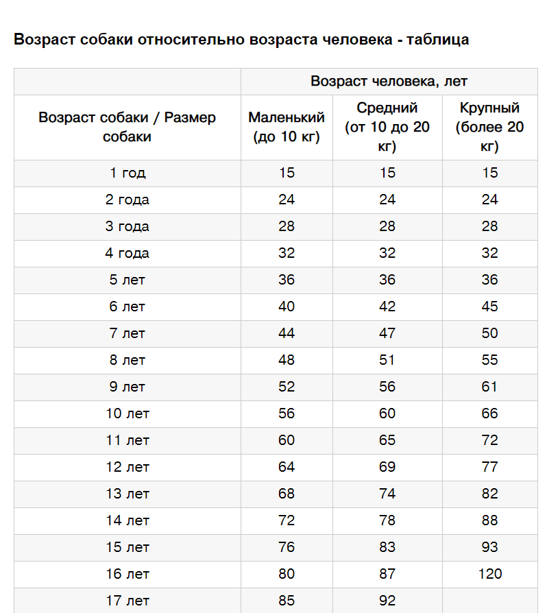 Перевести возраст. Собачий Возраст по человеческим меркам таблица. Соотношение лет собаки и человека таблица. Возраст собак на человеческий Возраст таблица по породам. Таблица возраста собак по человеческим меркам мелких пород.