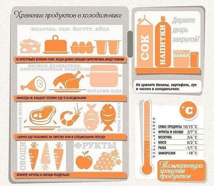 Правила хранения продуктов презентация