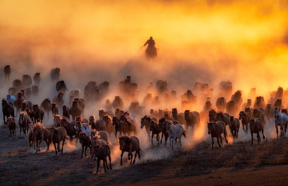 Лучшие фотографии за всю историю фотографии