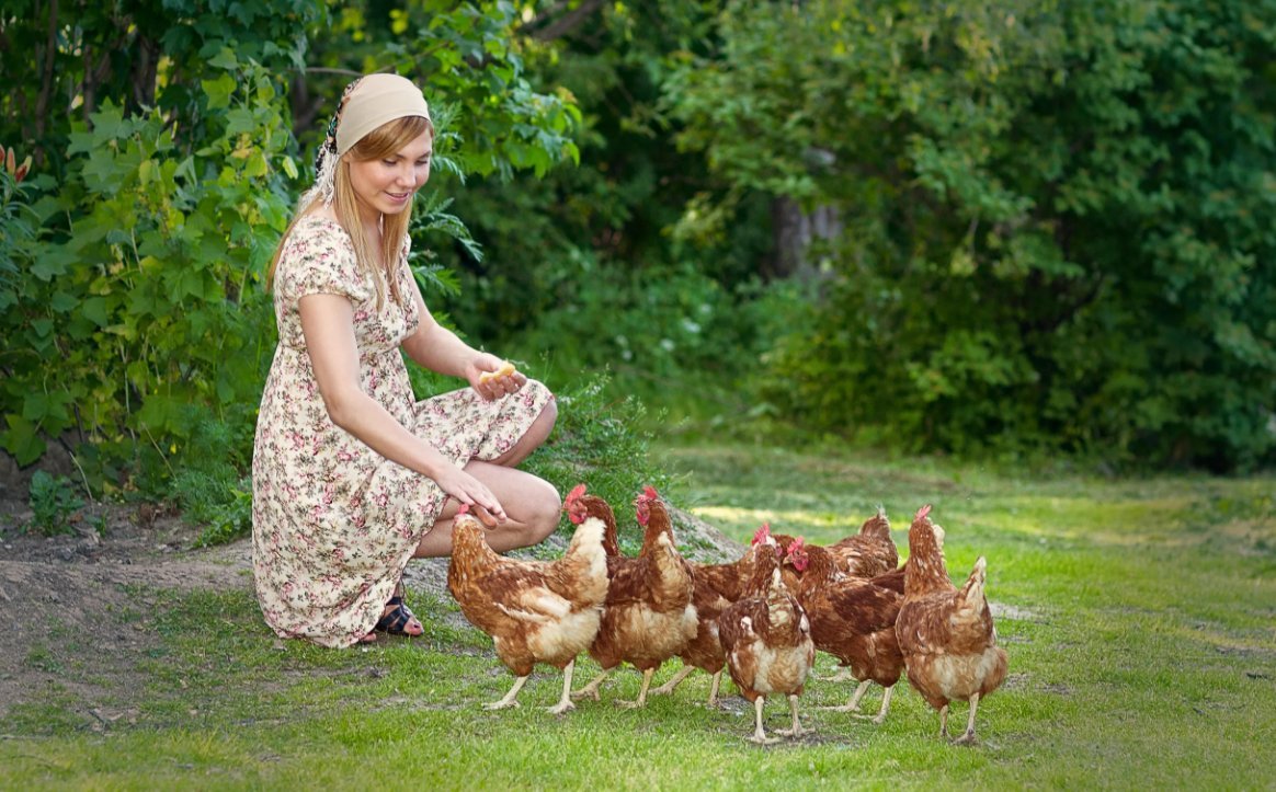 Птичница. Курочки в деревне. Девушка с курицей. Фотосессия с курицей. Женщина с курами.