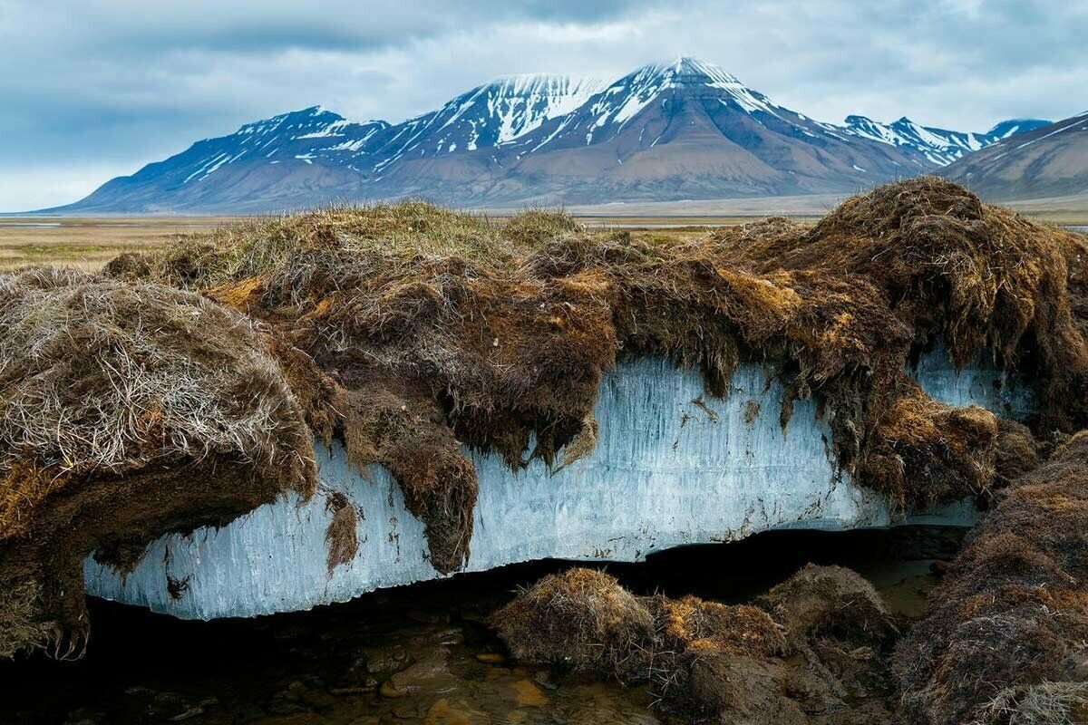 Вечная мерзлота фото якутия