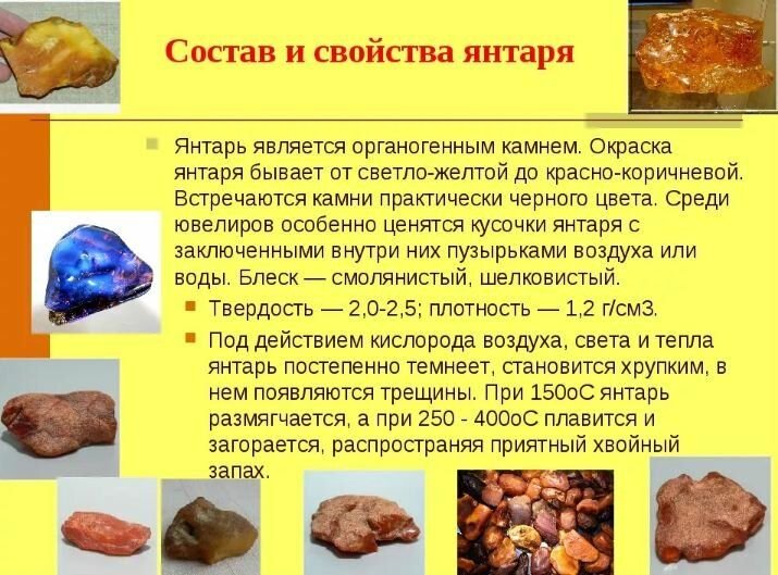 Все тайны янтаря проект химия