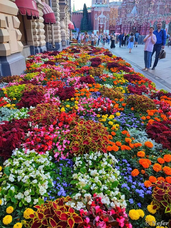 Город цветов москва