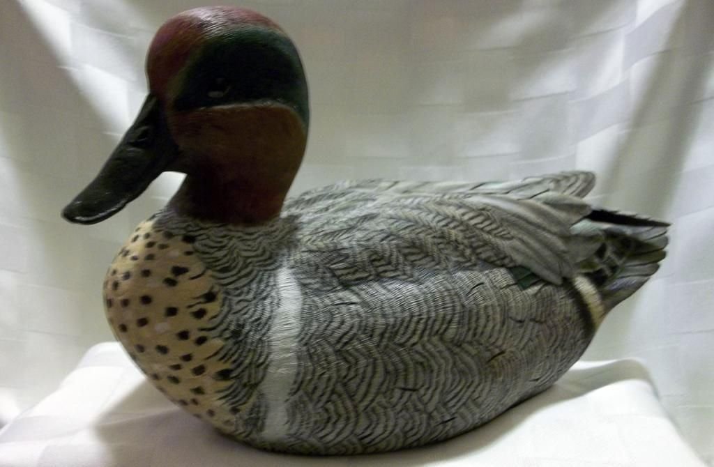 Подсадная утка своими руками. Чучело подсадной утки. Подсадная утка своими руками. Вызаривание подсадной утки. Чучело подсадной утки.