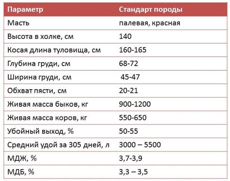 Средний стандарт. Промеры коров симментальская. Промеры симментальской породы коров. Стандарты промеров коров. Стандарты симментальской породы.