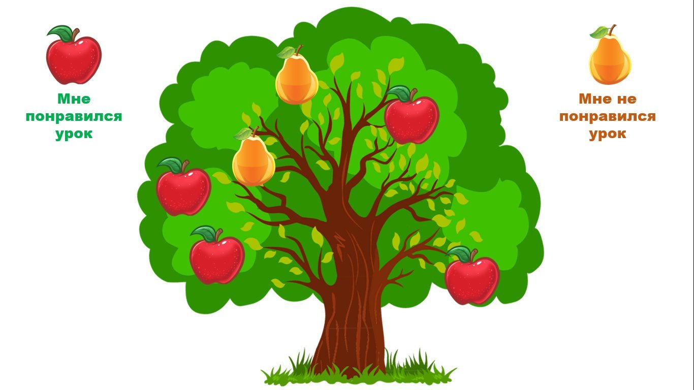 Яблоня без яблок картинки для детей