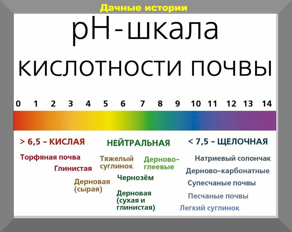 Шкала кислотности PH почвы