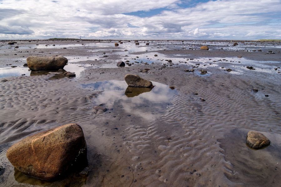 Приливы в белом море. Белое море приливы. Онега белое море отлив. Отлив на белом море. Белое море отливы и приливы.