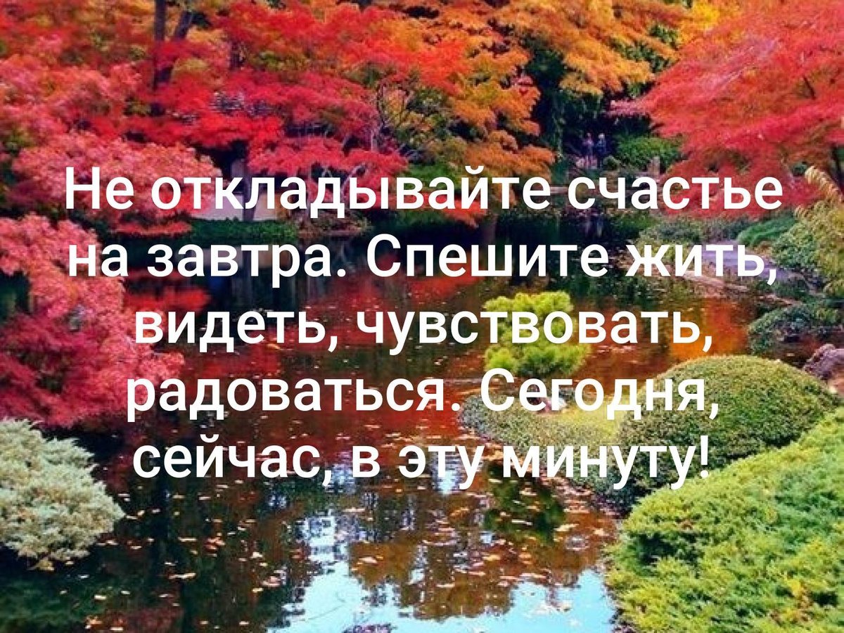 Спешите жить. Не откладывайте жизнь на потом. Ничего не откладывайте на завтра. Не спешите жить. Не откладывайте жизнь на завтра.