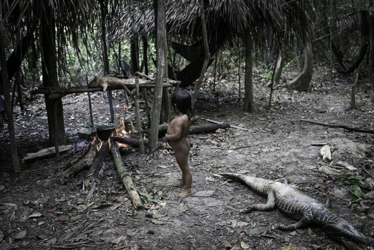 Жители джунглей амазонки