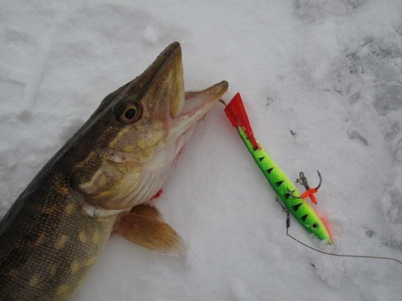 Рыбалка на щуку зимой на балансир. Балансир на щуку зимой. Балансиры для зимней рыбалки на щуку. Балансиры для зимней рыбалки на щуку. Балансиры для зимней рыбалки на щуку.