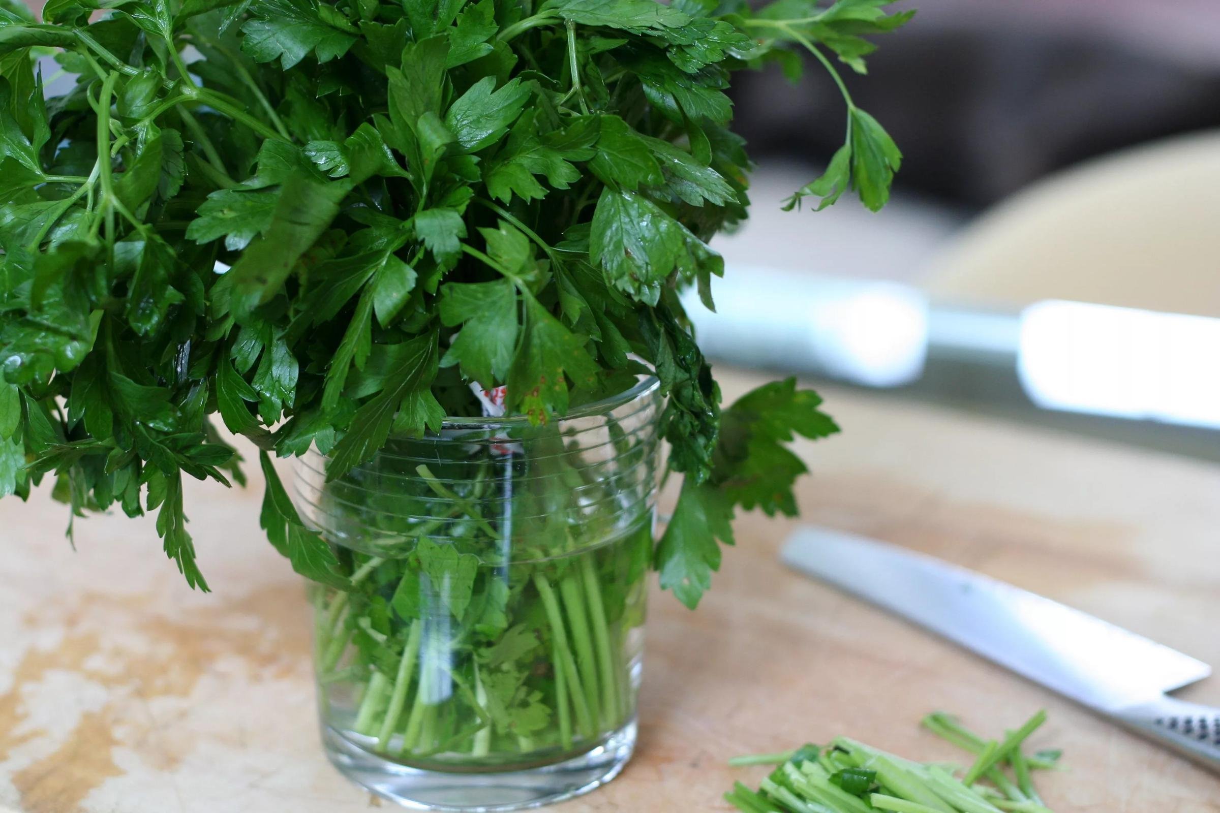 Как вырастить укроп петрушку шпинат салат
