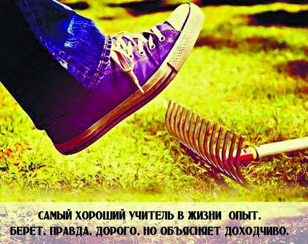 Не падайте духом где попало выбирайте красивые места картинки