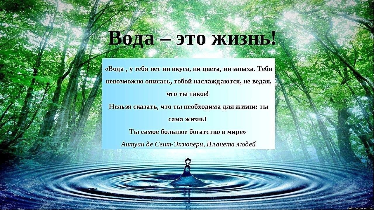 Источники жизни человека. Вода источник жизни. Вода это жизнь. Тема вода источник жизни. Вода источник жизни для человека.