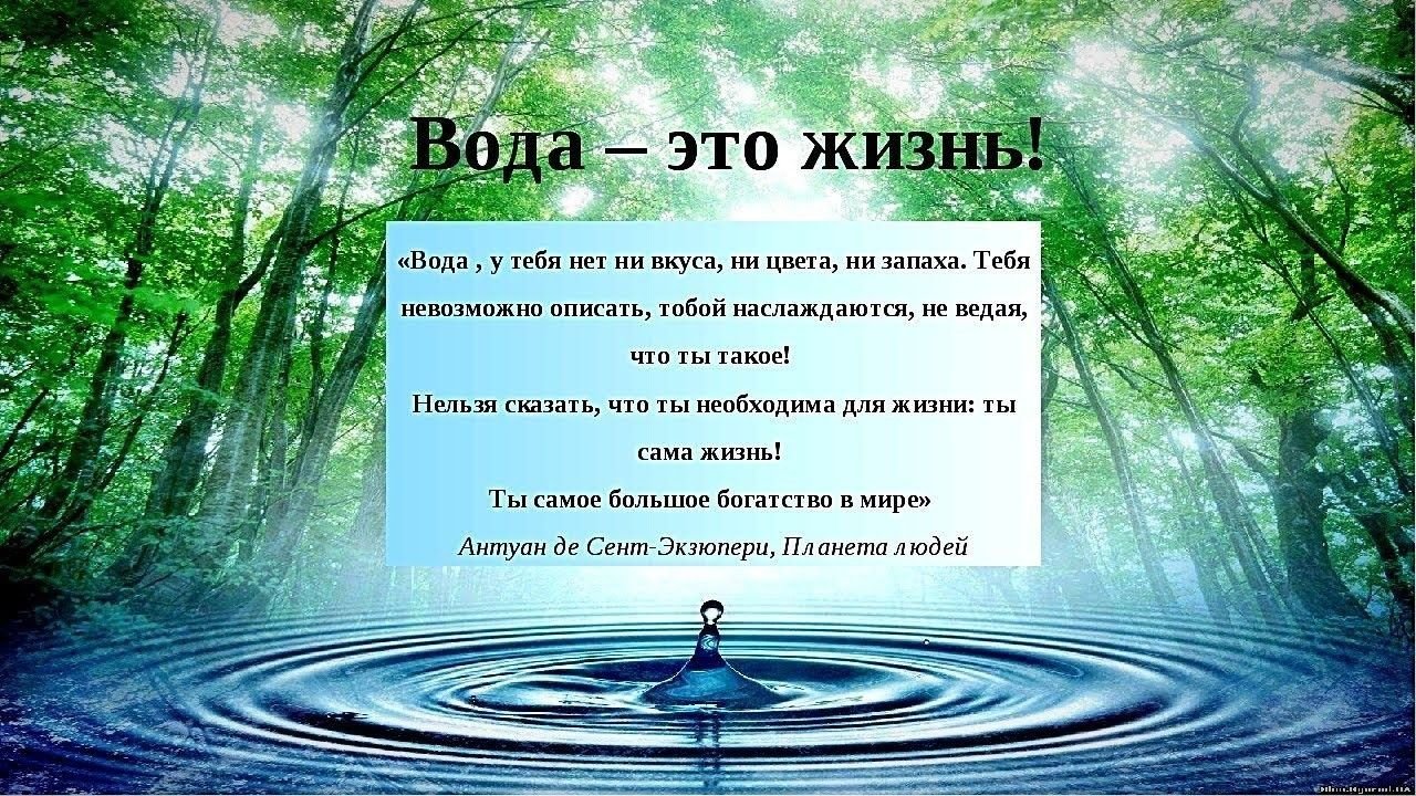 Предложение про воду. Вода источник жизни. Вода это жизнь. Тема вода источник жизни. Вода для презентации.