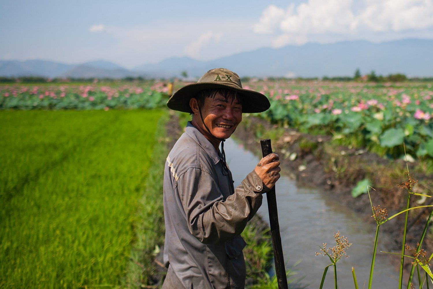 Semi vietnam. Вьетнам йетсоф Петро. Сельское хозяйство Вьетнама. Экономика Вьетнама. Хозяйство и промышленность Вьетнам.