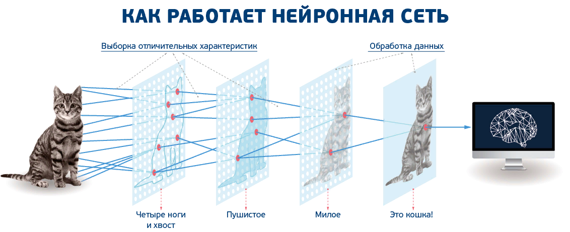 Как нейросеть видит фото