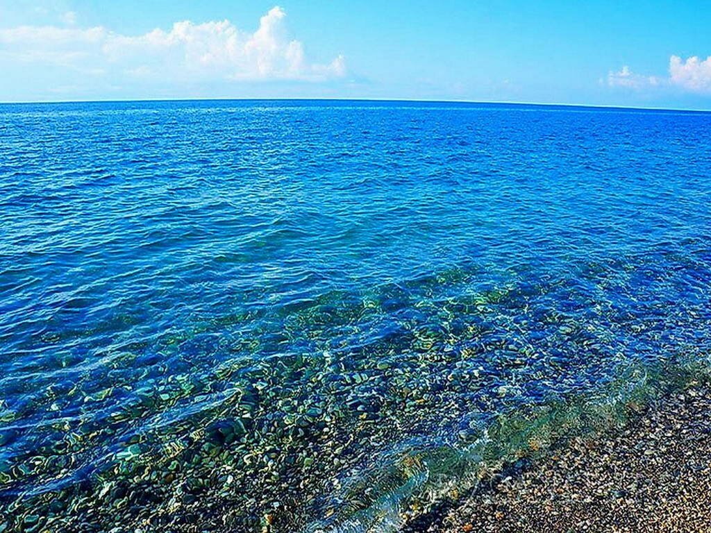 Какая вода в черном. Море Абхазия Пицунда. Черное море Пицунда. Чистое море в Абхазии Пицунда. Морская Лагуна Пицунда.