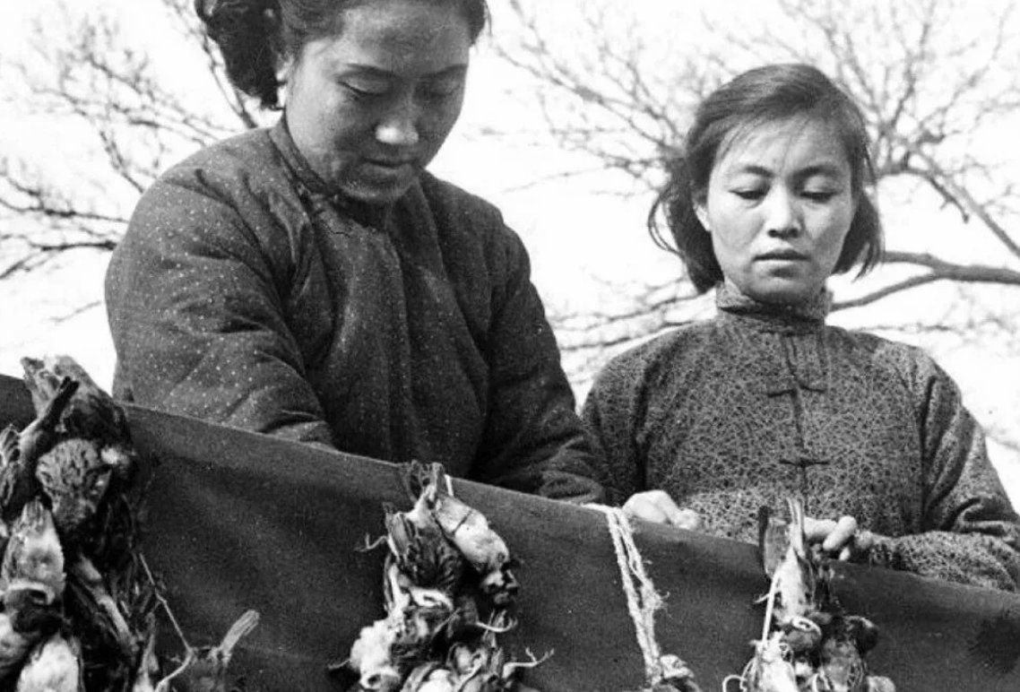 Мао Цзэдун геноцид Воробьев