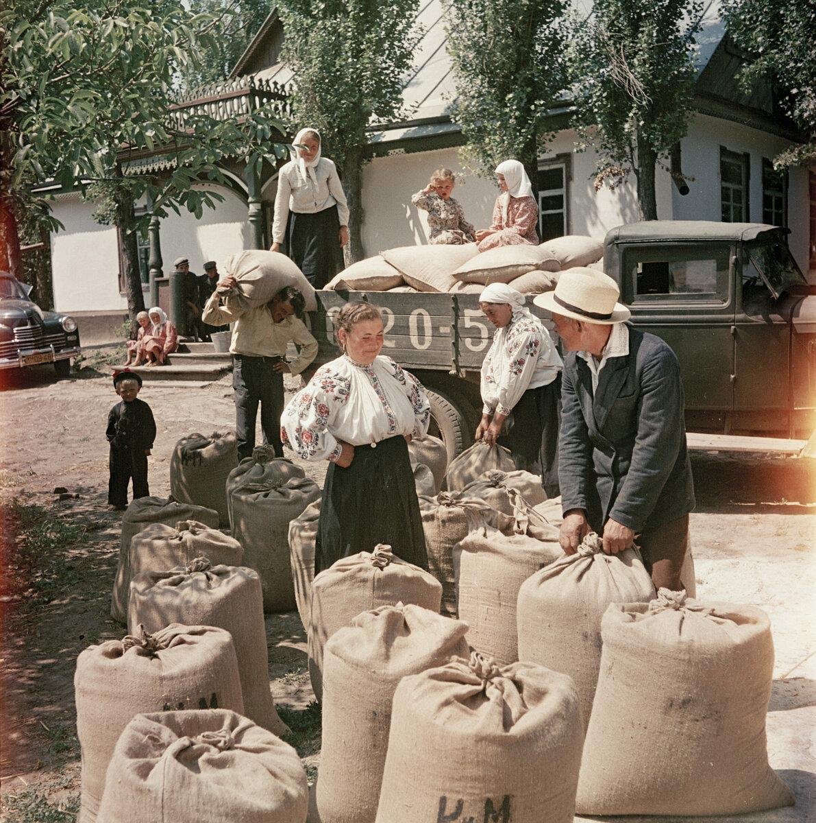 Фото семёна Фридлянда СССР 1950-Е