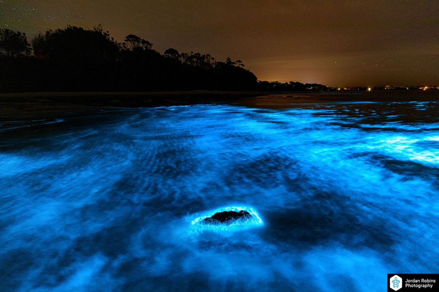 Светящийся планктон Австралии