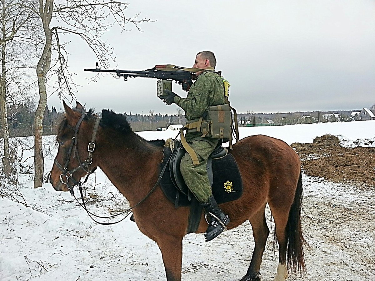 Военные лошади фото