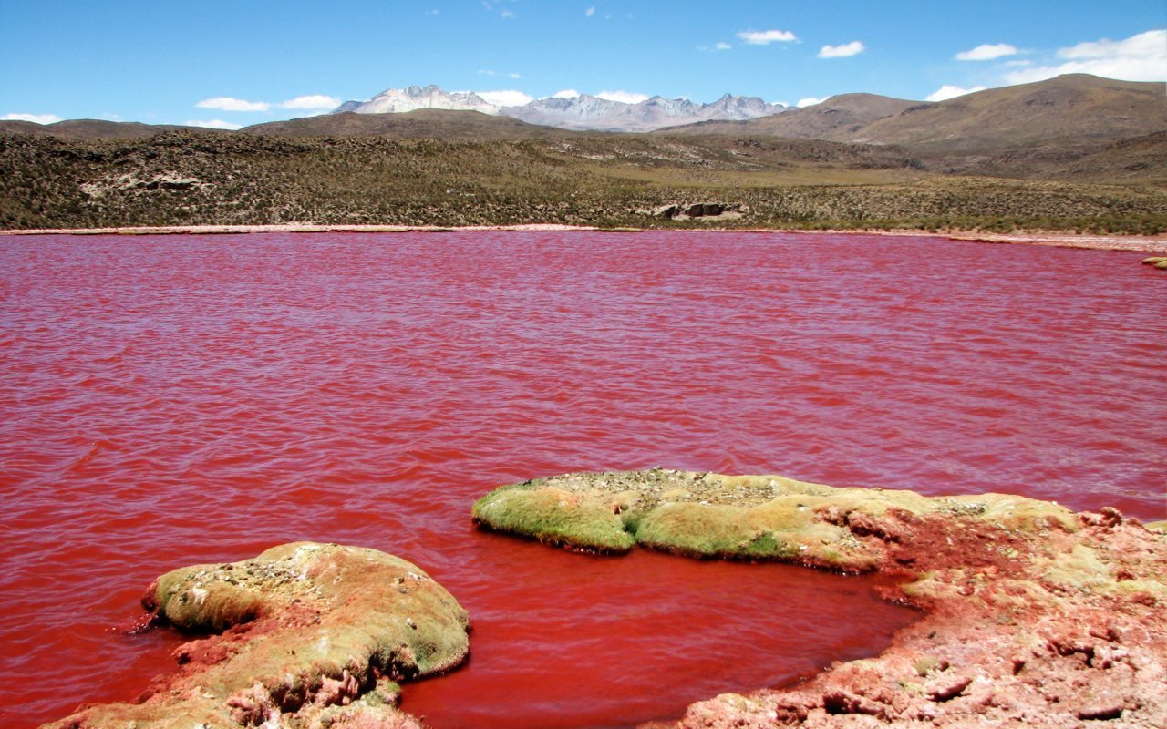 Красная Лагуна в Чили