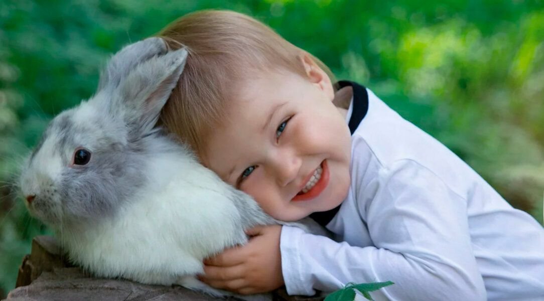 Образ животного для детей. Женщины рожденные в год кролика