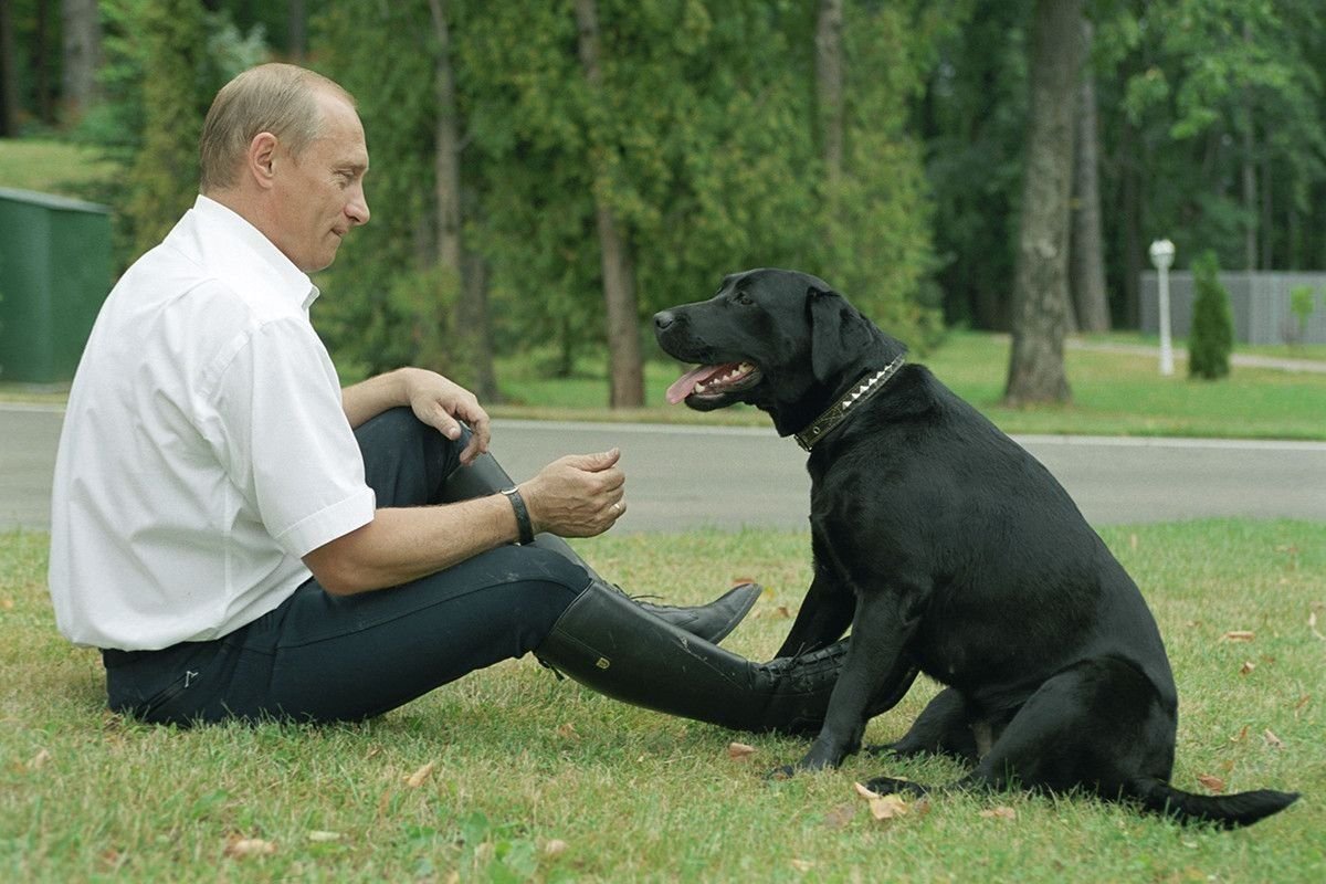 Фото животные путина