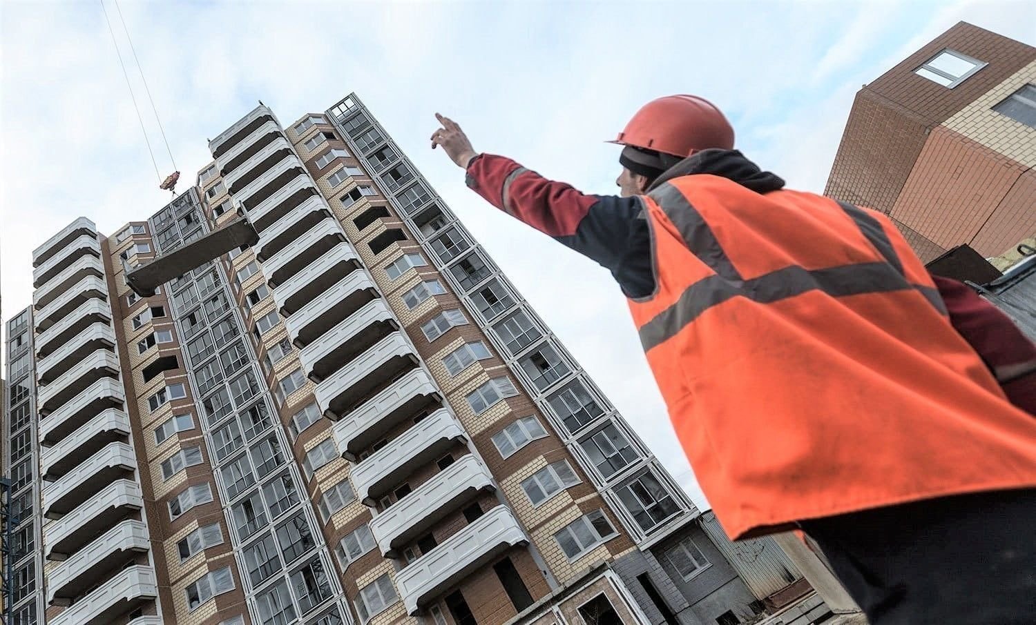 конопля в горшке. почему растет дома. комнатные растения которые. что ра тет на подоконнике. пикировка петунии.