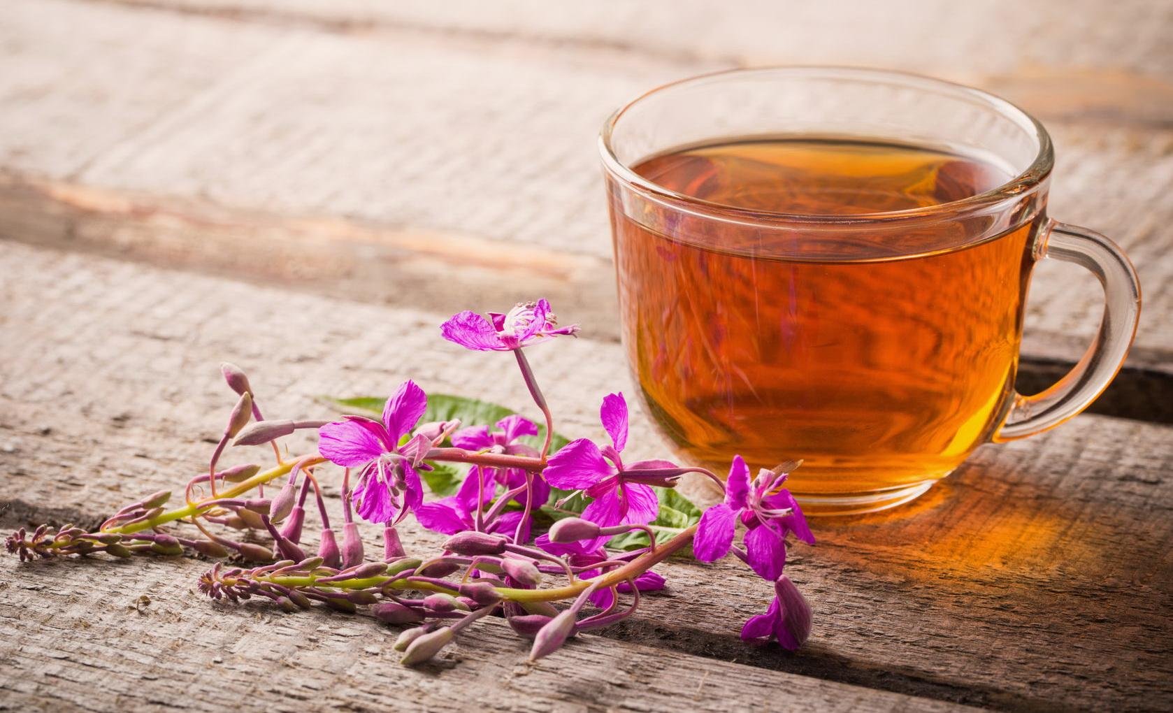 Кипрей узколистный сушеный. Ива чай. Ива чай. Ива чай. Ива чай.